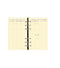 QVD Recharge Agenda Timer 17 Prestige SAD