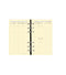 QVD Recharge Agenda Timer 17 Prestige SAD