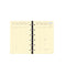 QVD Recharge Timer 14 Prestige Vertical SAD