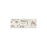 CA 849 Toile de Jouy Stylo Bille Bordeaux-Stylo Bille-Caran d'Ache-Papeterie du Dôme
