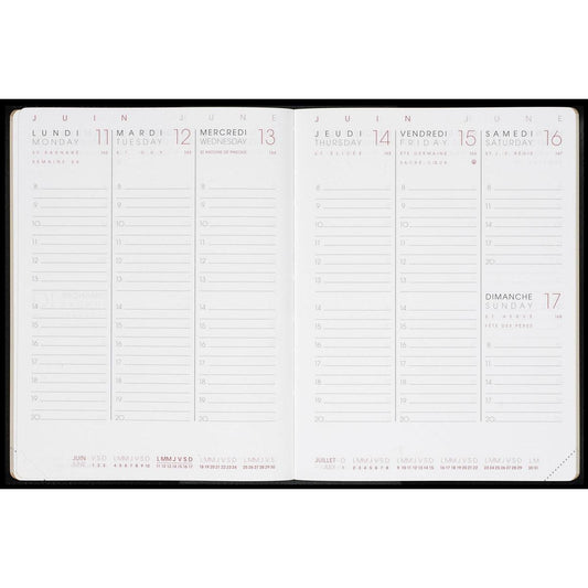 AM Agenda ABOS Simili Box Semainier-Agenda-Agenda Moderne-2023-Papeterie du Dôme