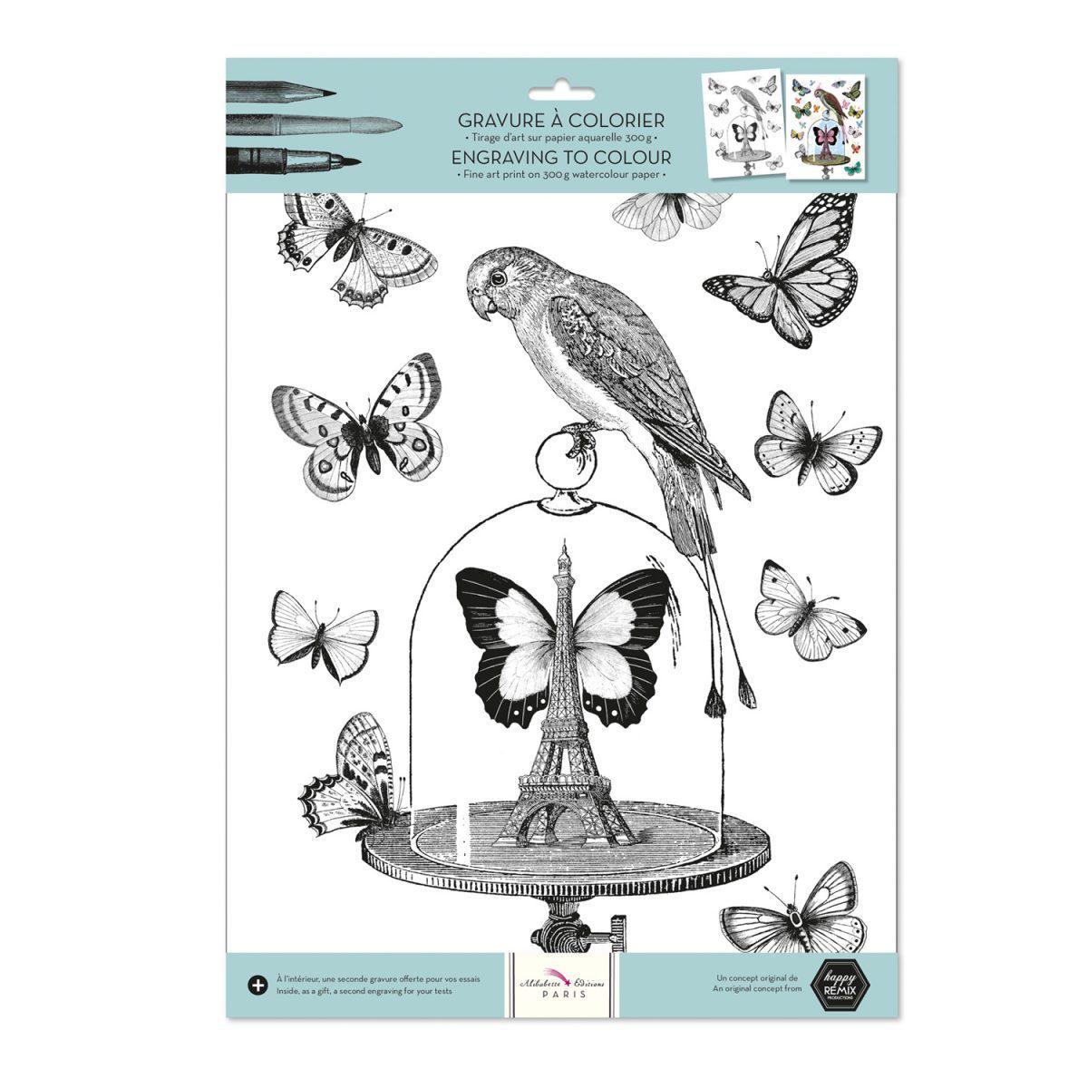 BAB Gravure à Colorier-Coloriage-Alibabette Editions-Les papillons-Papeterie du Dôme