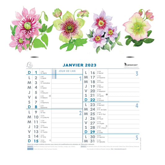 EXA Calendrier Mensuel Fleurs Feuillets Détachables 27,5x30,5-Calendrier-Exacompta-2023-Couleur Aléatoire-Papeterie du Dôme